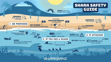 chances of getting bit by a shark|How to survive a shark attack – or better yet, avoid .